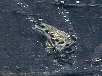 BREAKING; Co-pilot crashed pla...
